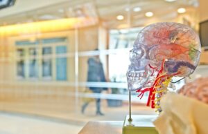 The Importance of Regenerative Medicine for Patients on the U.S.-Mexico Border