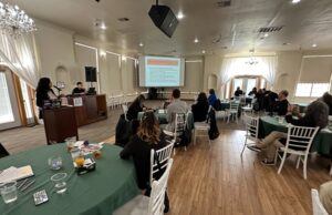 Conference Sheds Light on Intimate Partner Violence, Strengthens Community Response